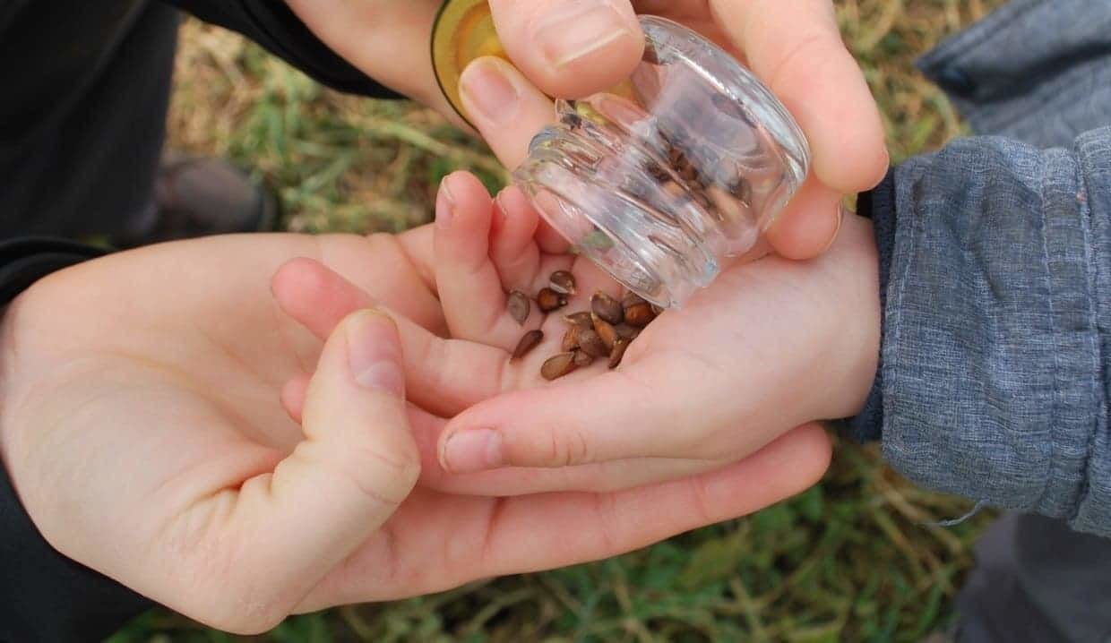 Neues Säen mit dem Kontaktformular